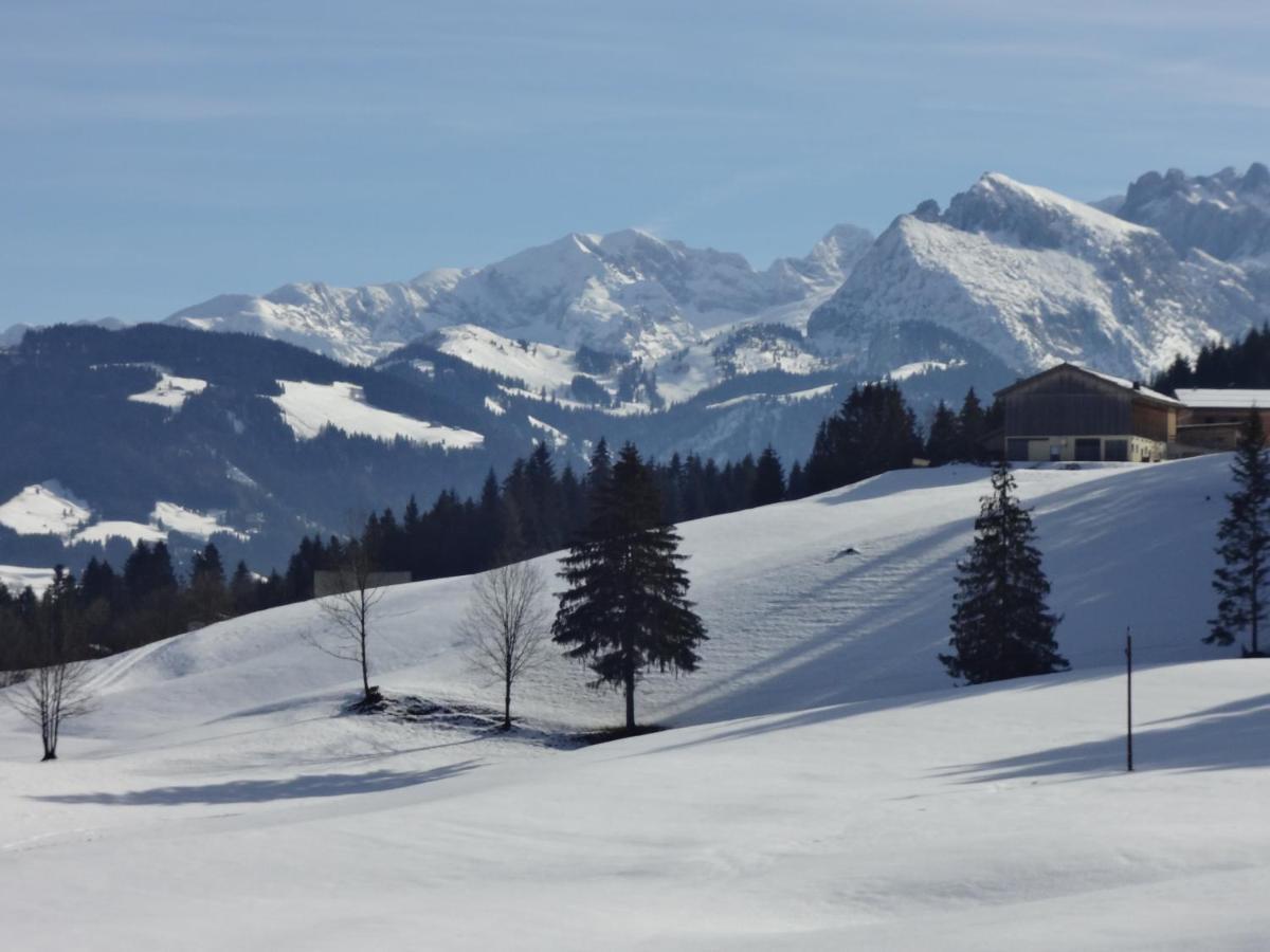 Chalet Hinterlammerain Abtenau