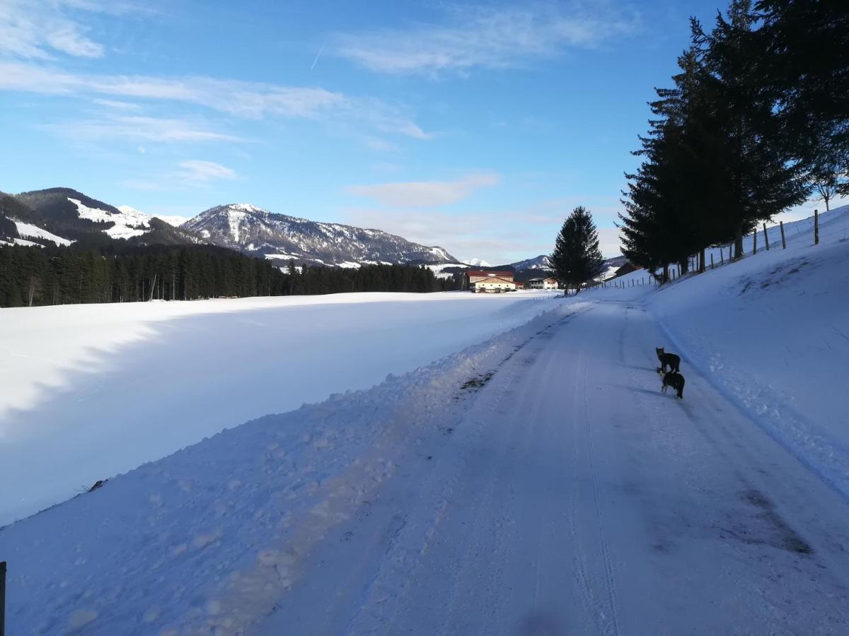 Chalet Hinterlammerain