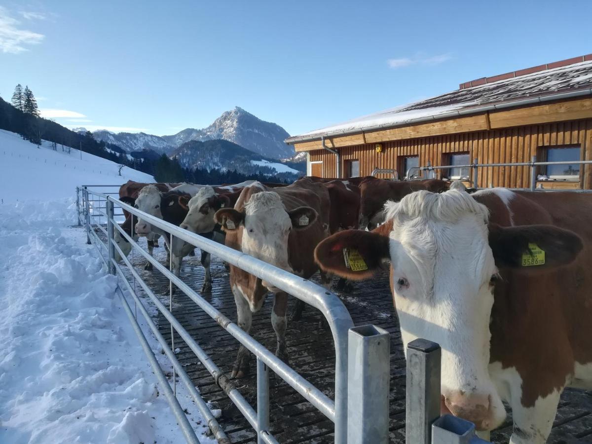 Chalet Hinterlammerain